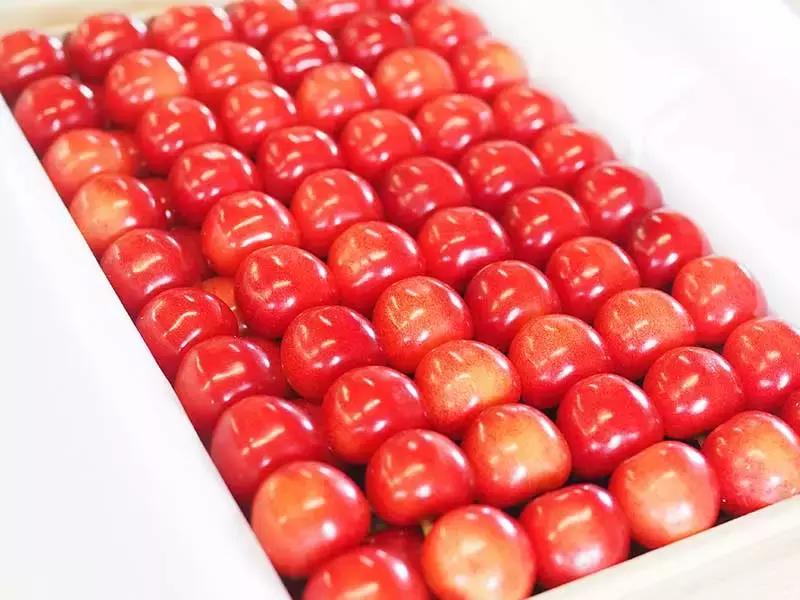 日本车牌变迁,日本2020年经典车牌