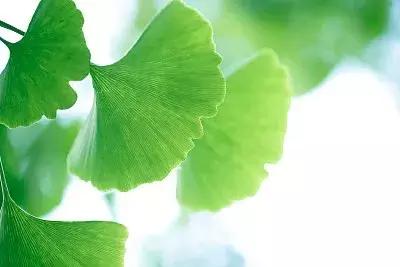 19岁小伙高考误入传销组织成功,大学生误入传销组织被警方抓获