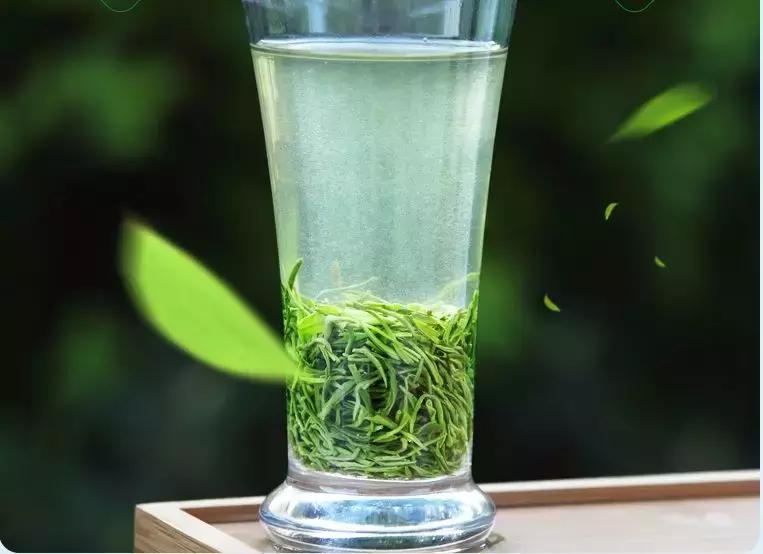 99元一斤半信阳毛尖是真的吗,网上几十元一斤的信阳毛尖