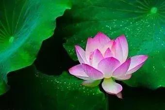 燕京u8啤酒节昌平,omg啤酒节