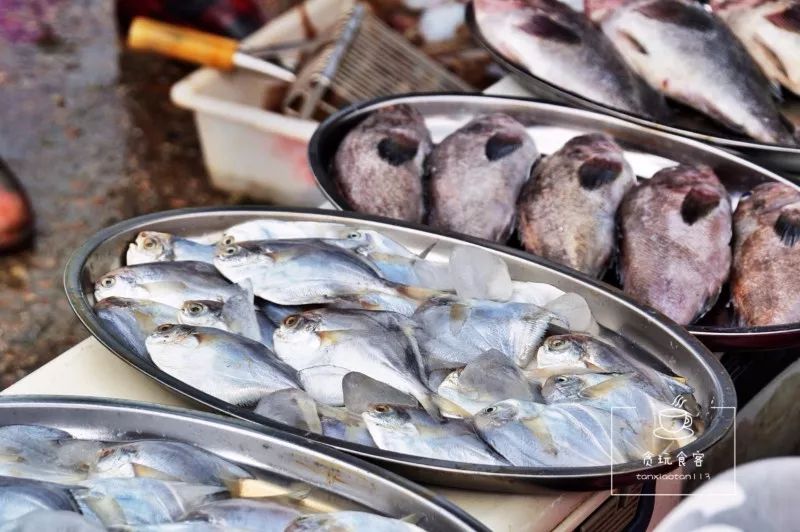 暑期去山东龙口,拍ins风网红大片,看没有游客蔚蓝大海!