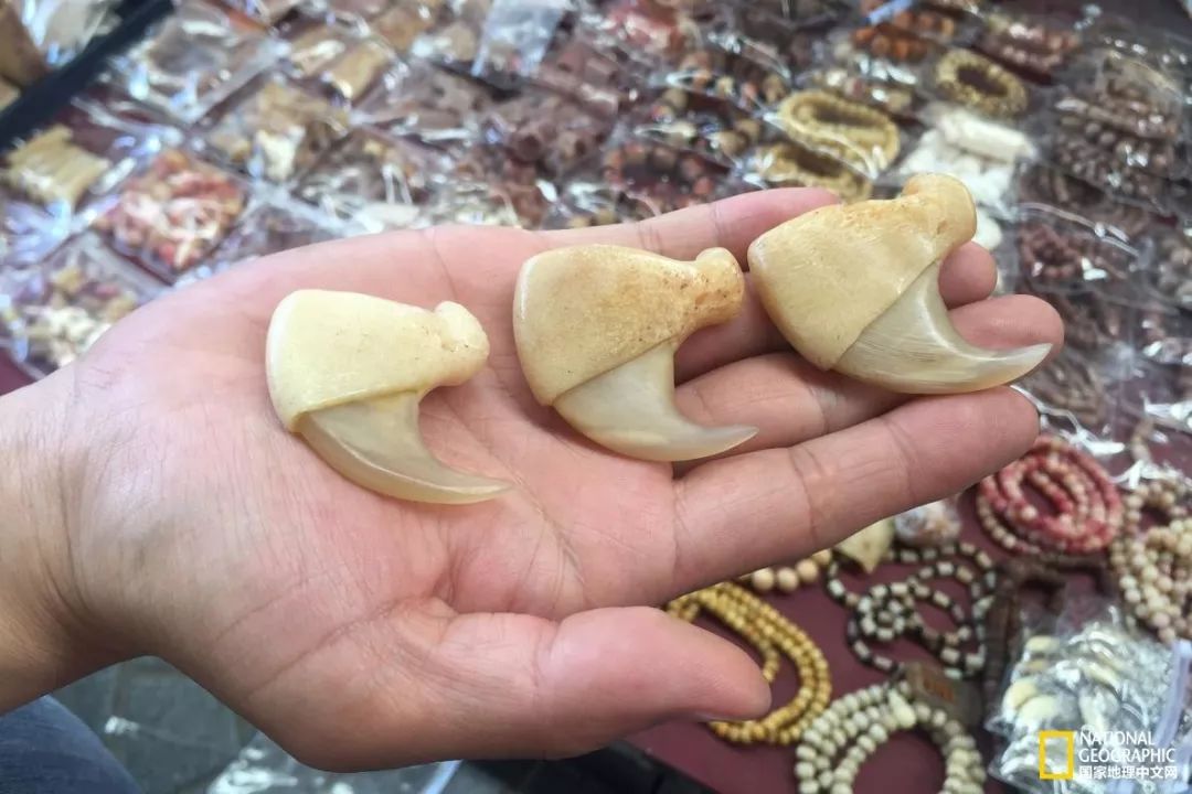 国家地理历史解密,国家地理老虎的复仇