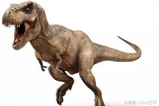 霸王龙的天敌食肉恐龙,巨型食肉牛龙对战霸王龙