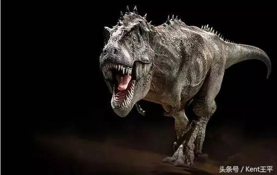 霸王龙的天敌食肉恐龙,巨型食肉牛龙对战霸王龙