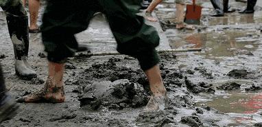 向所有中国军人军属致敬,致敬军人致敬军属