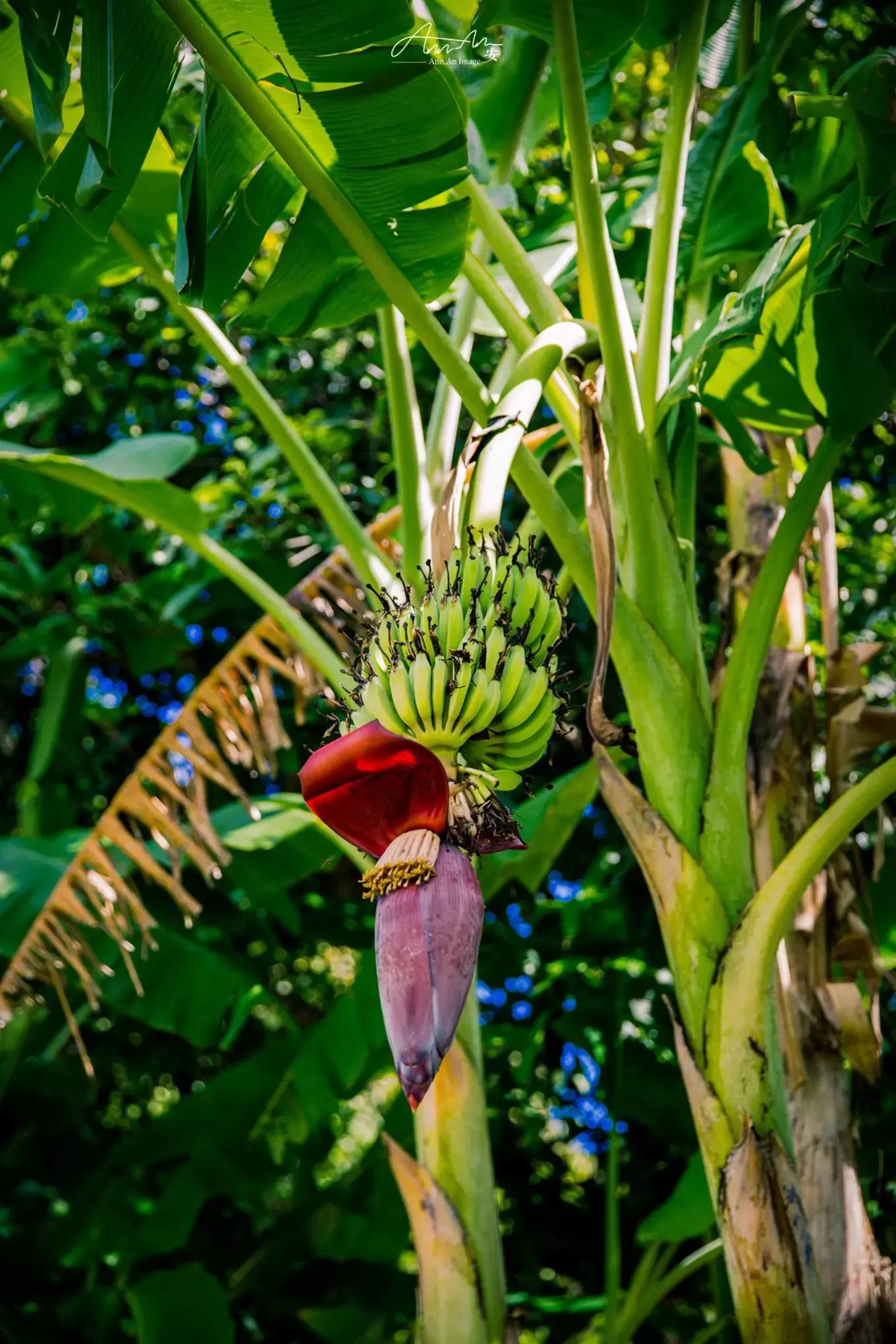 拥抱你的烈日暴雨，开启曼谷华新六日度假购物模式（下）