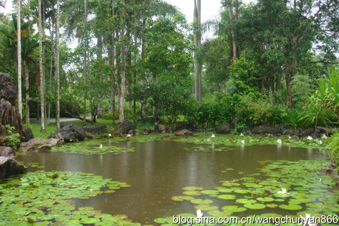 头条号整治封号在哪里公布,头条账号违反平台行为规范