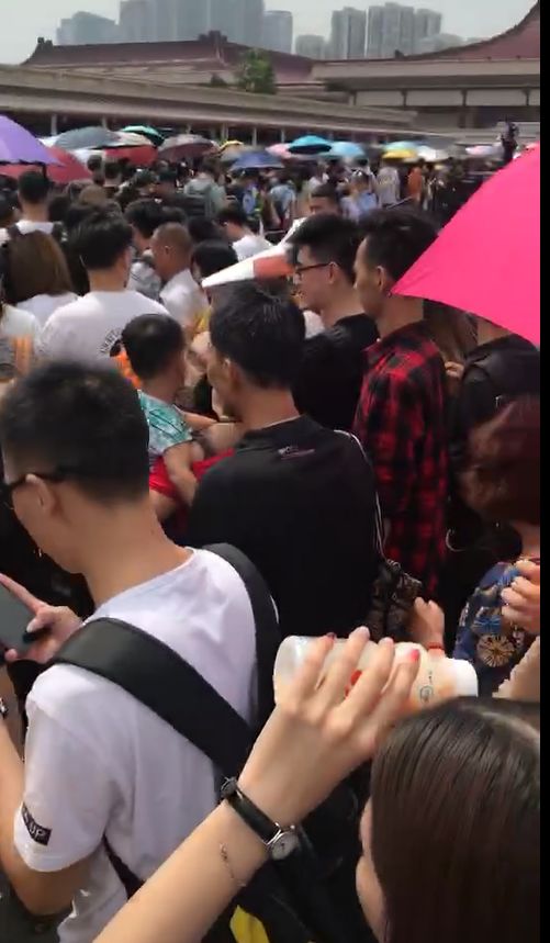 代购惨痛经历,代购心酸史