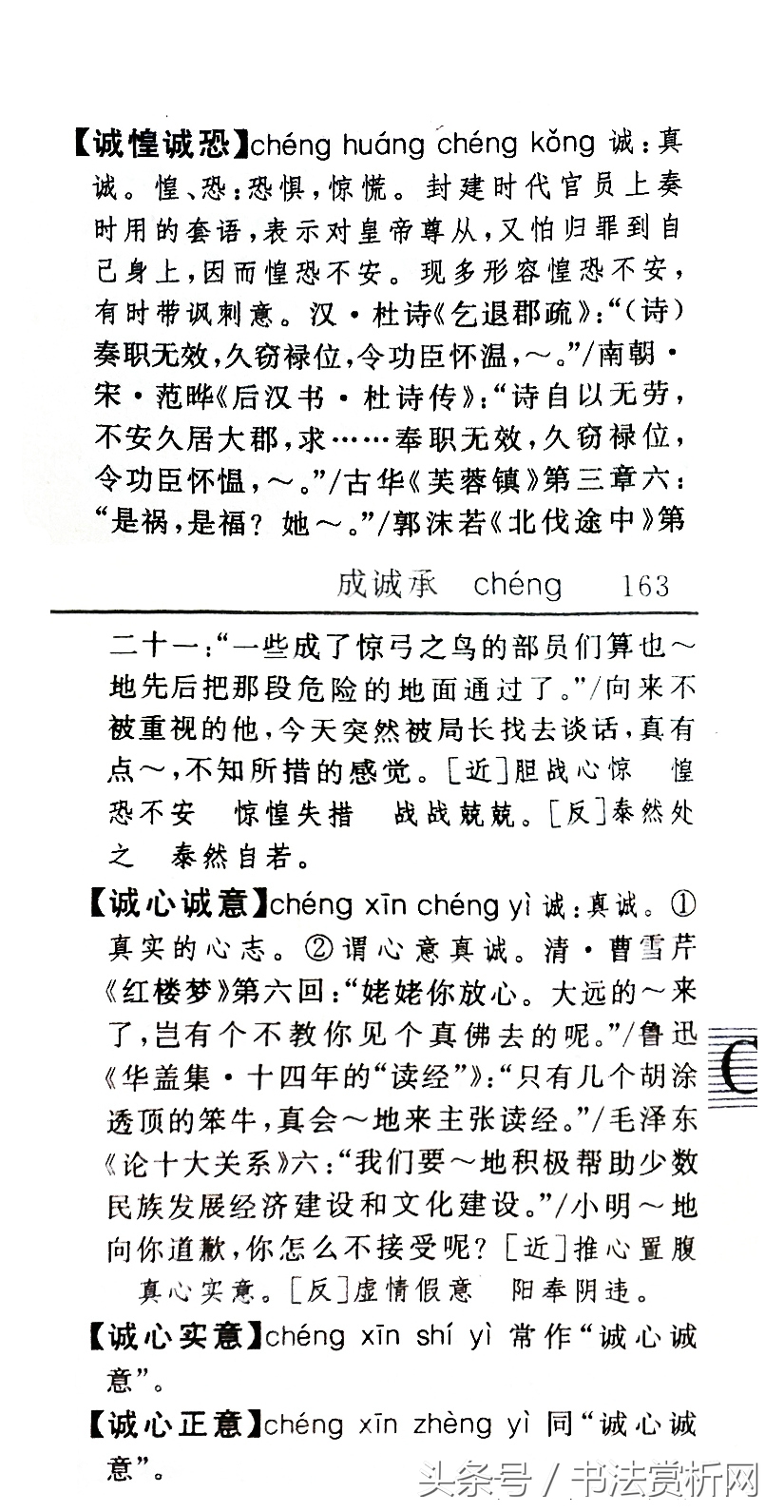 诚字硬笔书法练字,诚字的硬笔书法练习