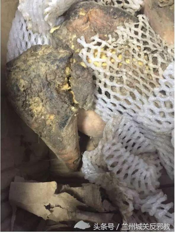 感谢拼多多平台的话,感谢拼多多让我购物自由