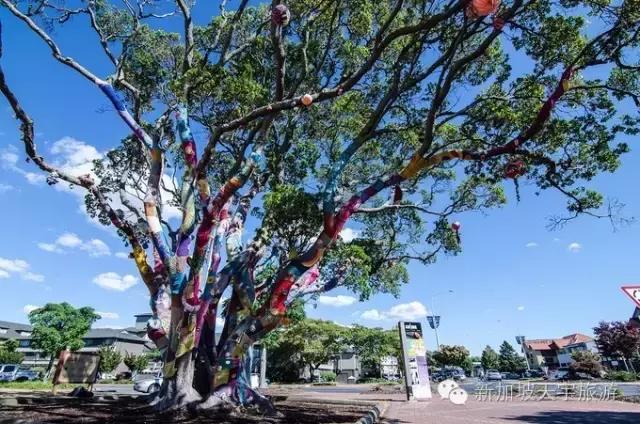 新西兰纯净之旅,10天时间旅游攻略