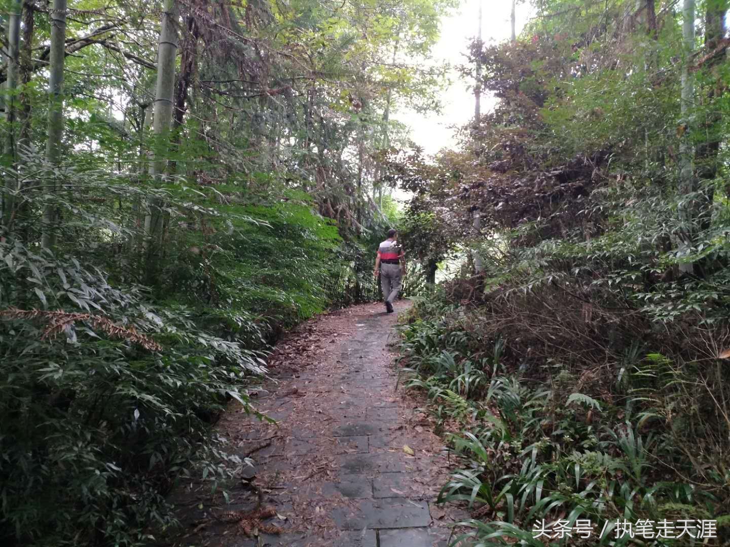 曾经成都人首选的度假小镇大邑花水湾，现在怎么样了？