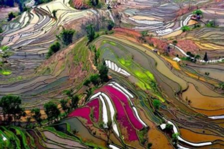 想避暑就来苍山顶,要想避暑就来西塘古镇