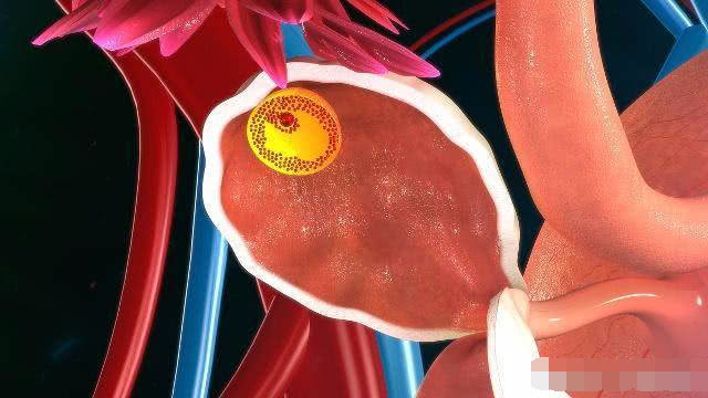 临近排卵期会有什么感觉,临近排卵日卵子的生长速度