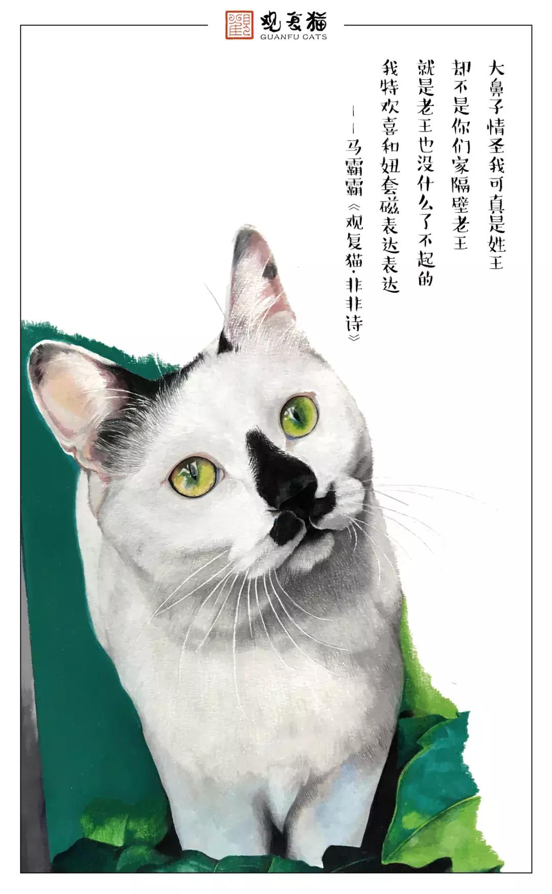 《猫谱》中的衔蝉就是王情圣这样的猫，我就是我，不一样的情圣！