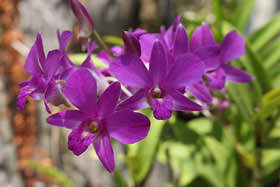 如何调整佳能单反相机参数设置,佳能单反相机基本使用教程