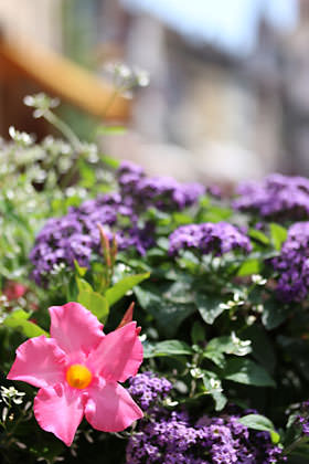 如何调整佳能单反相机参数设置,佳能单反相机基本使用教程