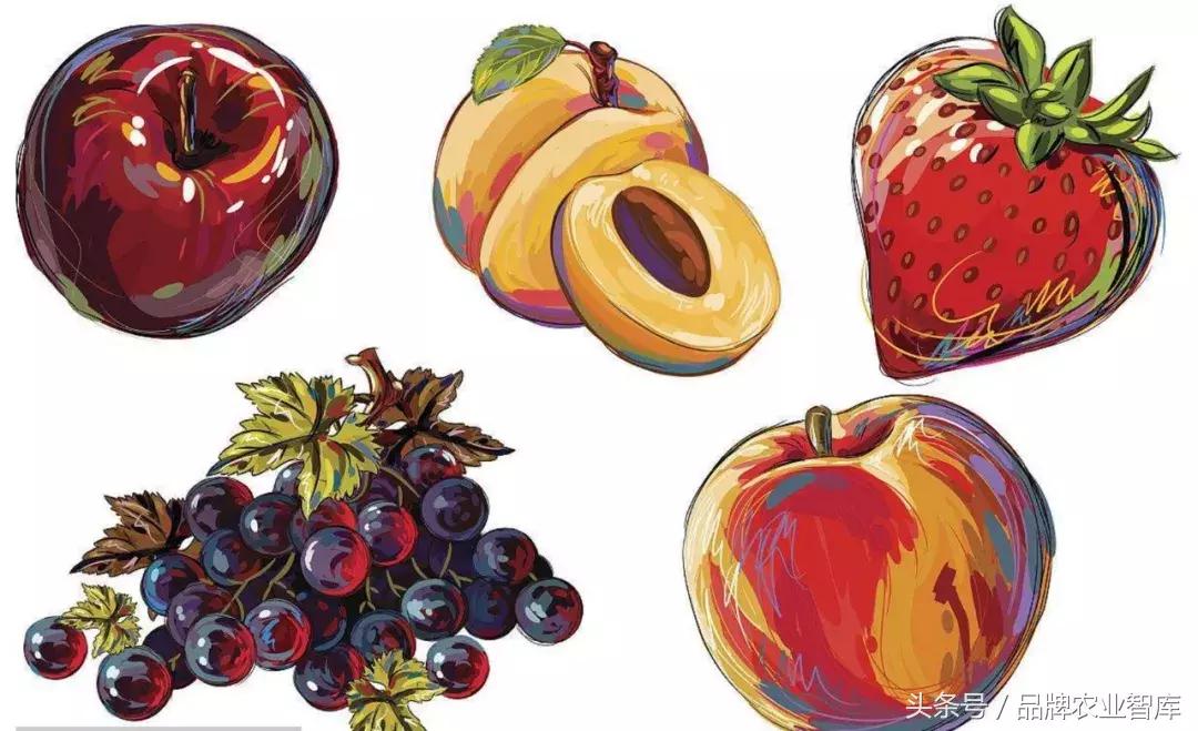 中国进出口水果名单,出口水果最好的企业