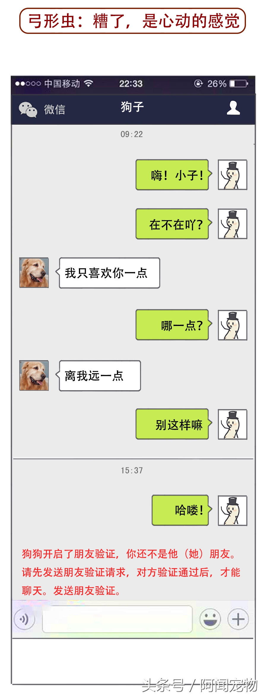 没养过猫狗的孕妇会感染弓形虫吗,孕期需要给猫狗做几次弓形虫检查