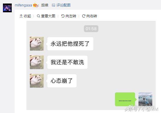 蜜蜂仔吐槽韦酱,韦酱和蜜蜂仔