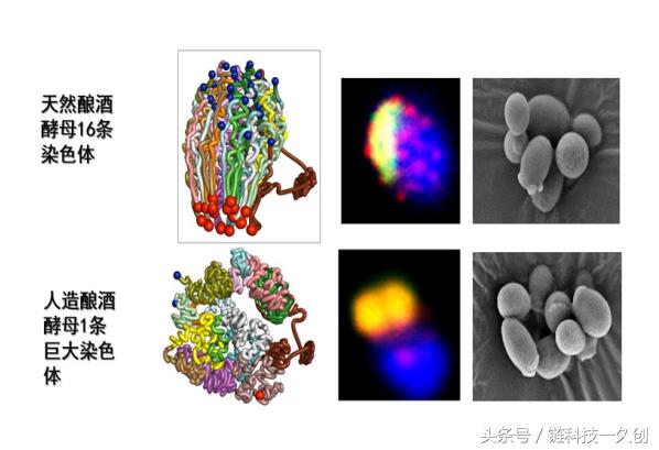 链科技最新,链科技是什么