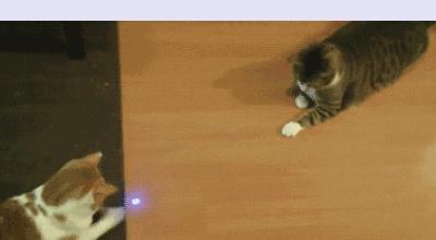 那些年的玩具和零食,那些年玩过的玩具叫什么