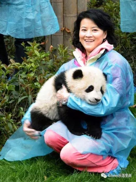 她是亦舒最爱喜宝，惨遭家暴失婚失财，亚视一姐历尽劫难续写精彩