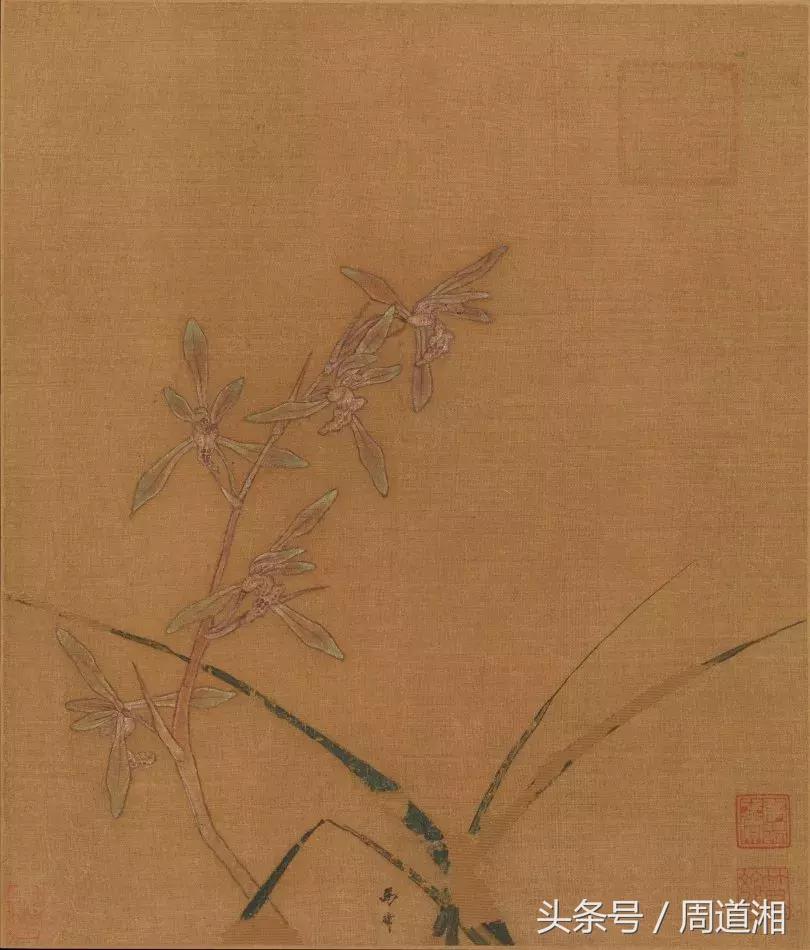 国画四大君子之兰花,国画兰花最好的是哪种