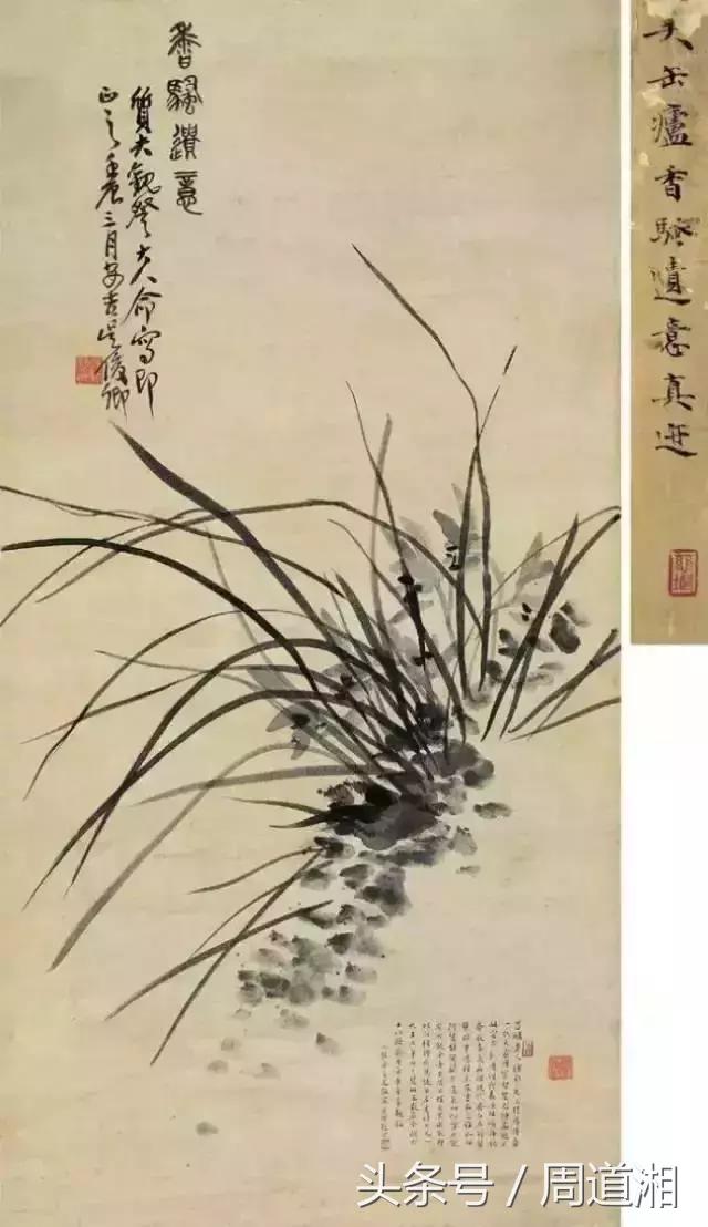 国画四大君子之兰花,国画兰花最好的是哪种