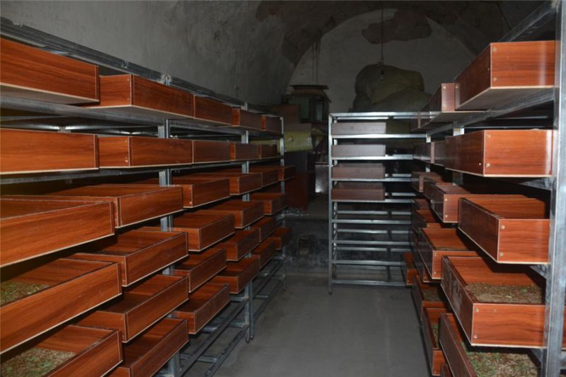 刘梁峁村荒山里“刨金”小蝎子养成大产业