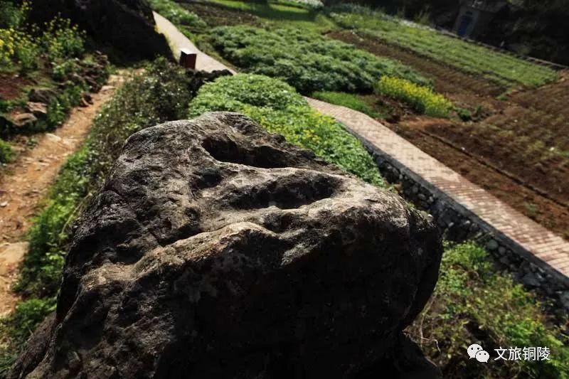 凤凰山景区门票价,凤凰山景点门票多少元