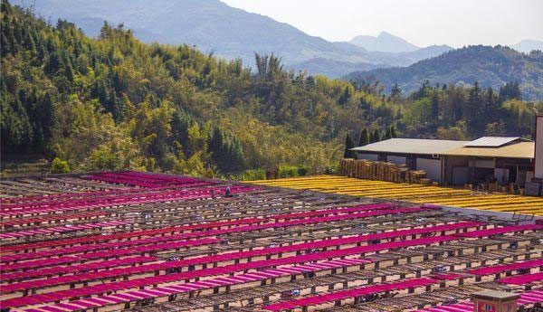 佛香烘干机解决方案,佛香烘干设备推荐