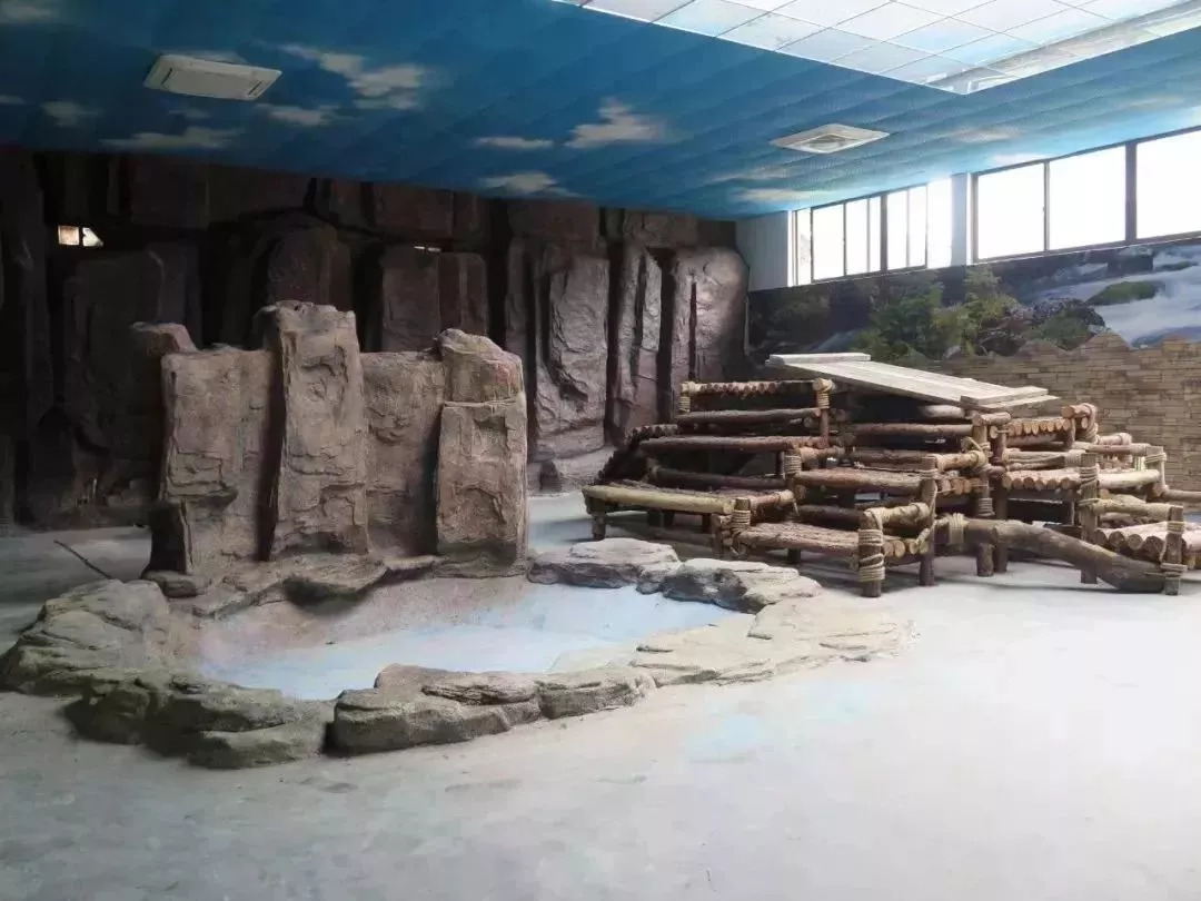 实力圈粉！熊猫兄弟今天正式亮相东莞，一大波萌图滚滚来袭