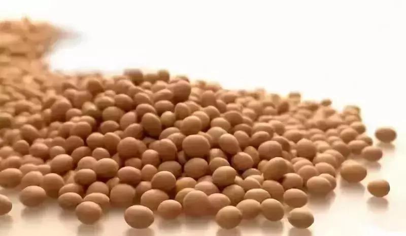 连云港特产排行榜前十名,连云港最全特产