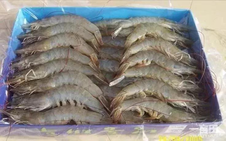 连云港特产排行榜前十名,连云港最全特产