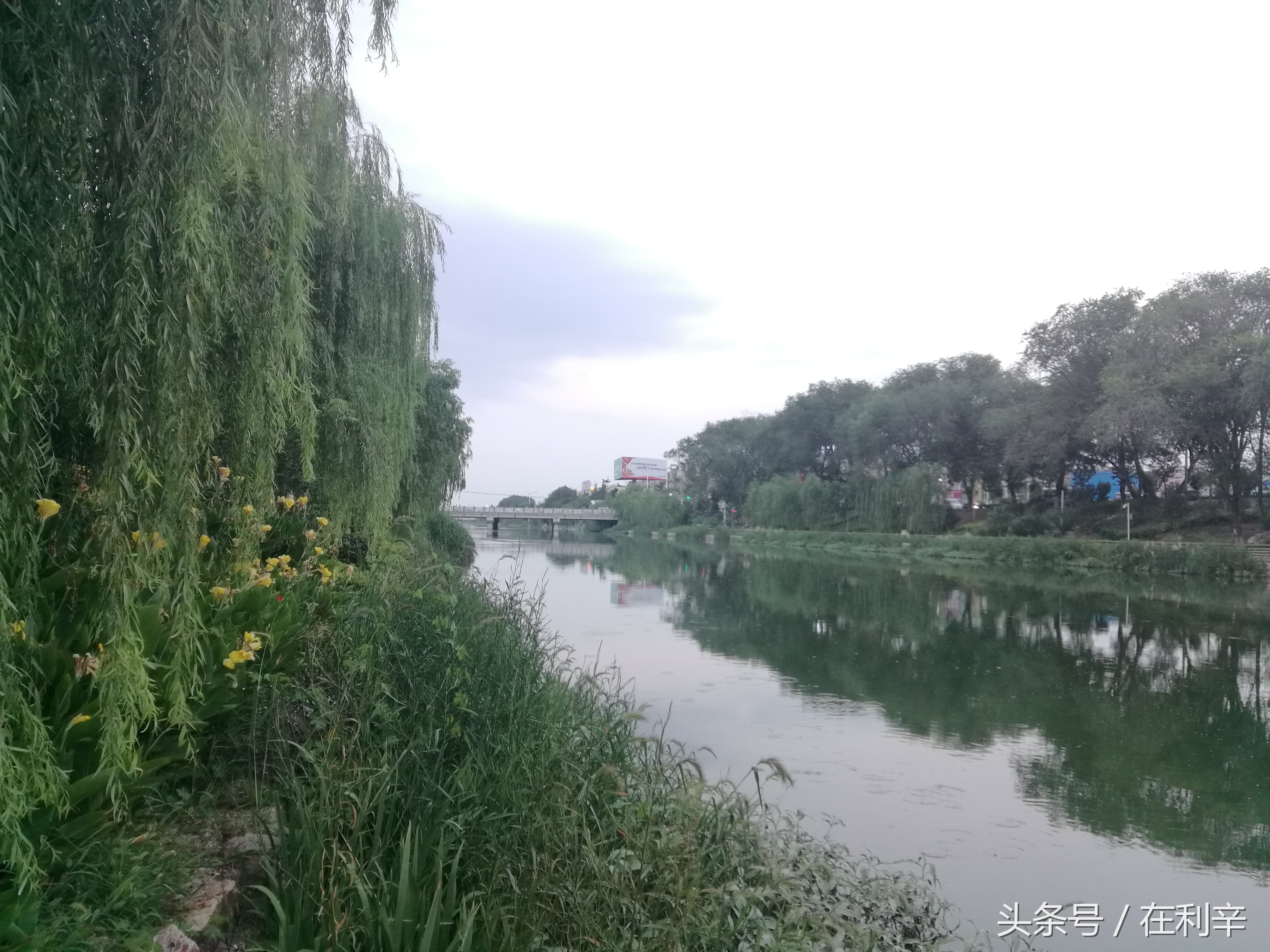 利辛日常生活,亳州利辛县日常生活