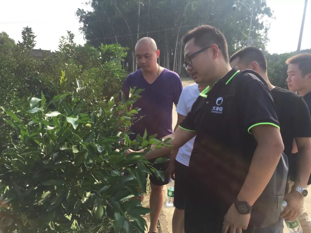 放弃财务生涯转型互联网,放弃金融搞实业才是正道