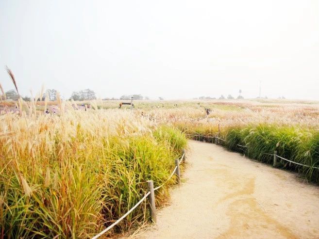 韩妆美学自由行热门攻略,韩国旅游攻略美妆店