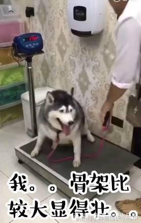 姨妈期间胡吃海塞会胖吗,大姨妈期间胡吃海喝长胖吗