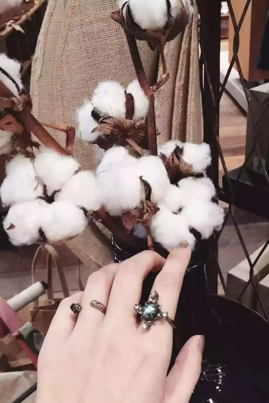 流行饰品小众设计,十个小众又精致的饰品品牌