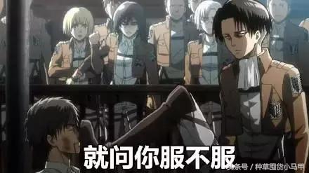 网红明星爆款推荐,明星推荐真的靠谱吗