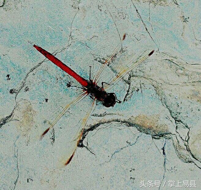 窟窿山,凤凰山星月