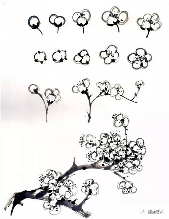 转画教学,中国画零基础入门画梅花