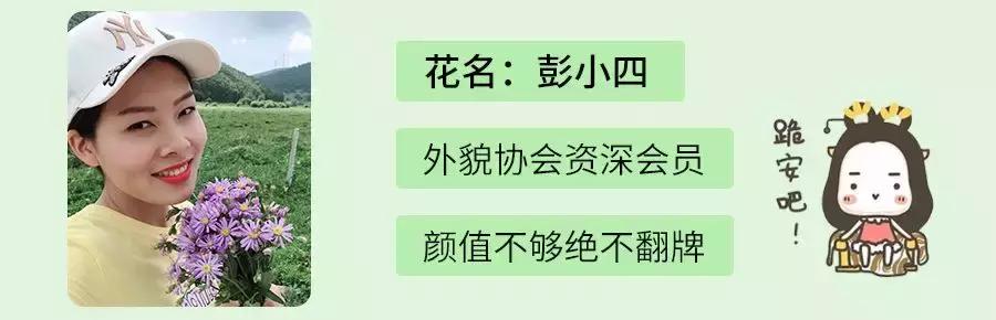 外卖店的出路在哪,外卖店倒闭了还能做什么生意