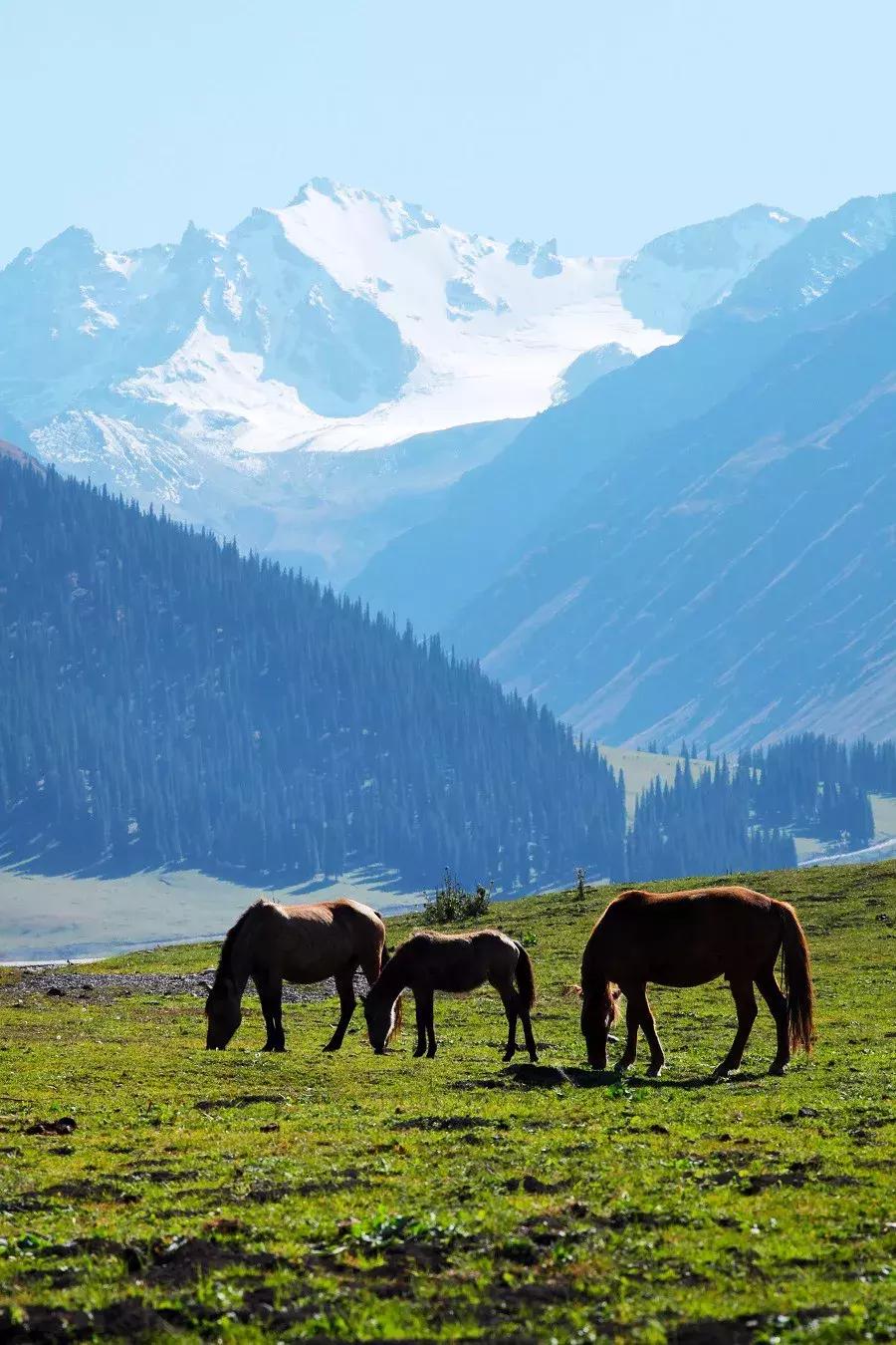 疆北自驾游线路图,全疆大环线自驾游最佳路线