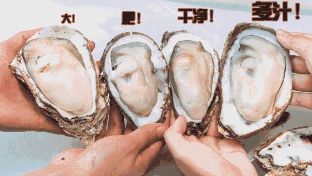 昆明这家鲜卤火锅,昆明24小时火锅店官渡区