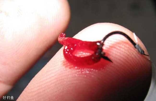 红虫颗粒钓鱼技巧,钓鱼红虫饵用法