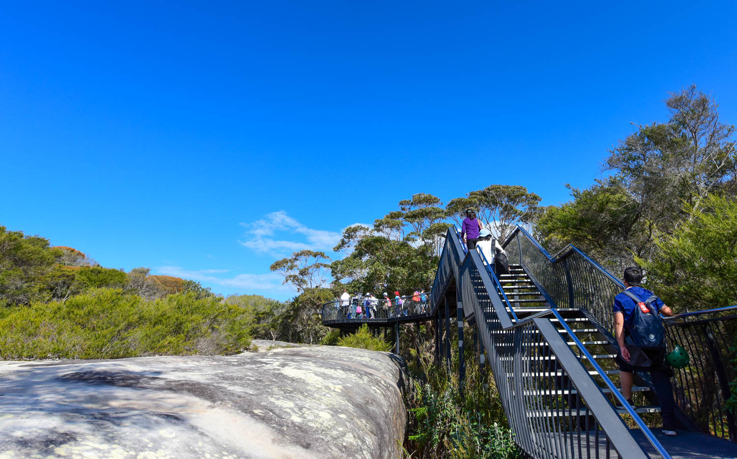 悉尼皇家国家公园图片,悉尼海港国家公园