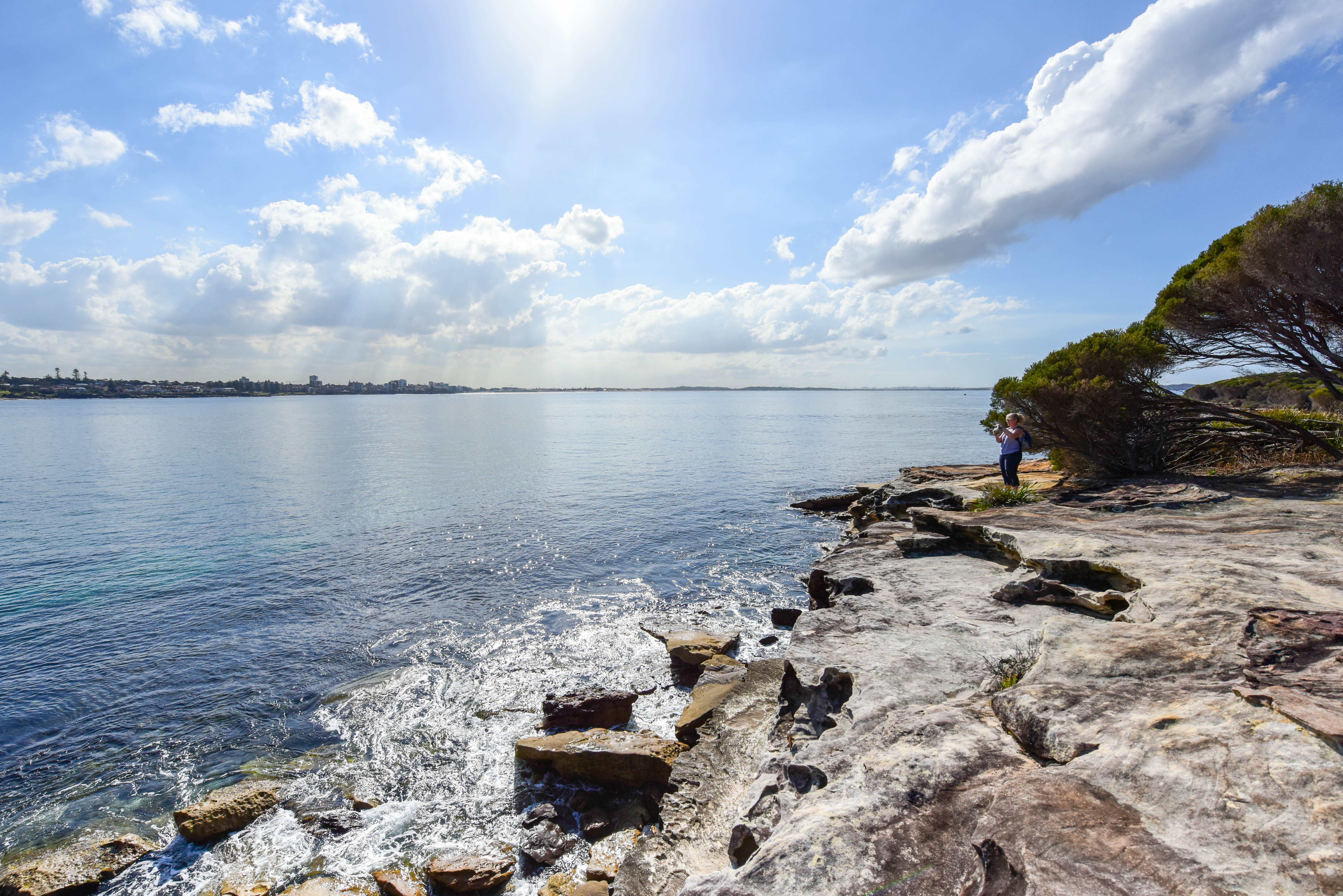 悉尼皇家国家公园图片,悉尼海港国家公园