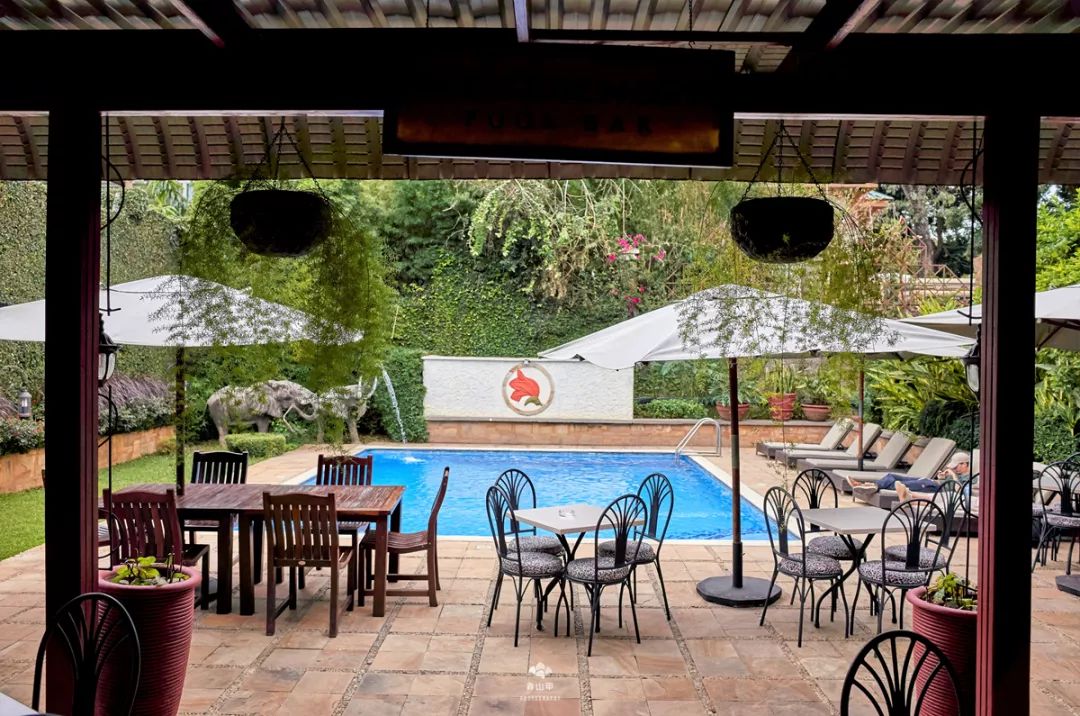 肯尼亚和坦桑尼亚哪个值得去,坦桑尼亚刚刚好之行